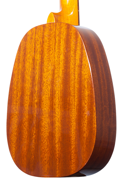 Pineapples 25G Series