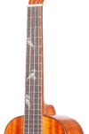 All Solid 32 Series