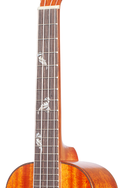 All Solid 32 Series