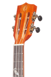 All Solid 32 Series