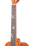 All Solid 32 Series