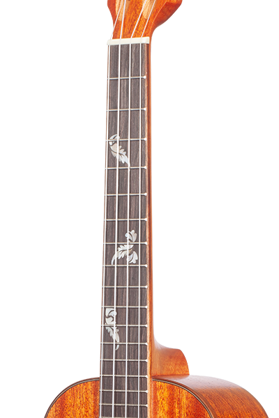 All Solid 32 Series
