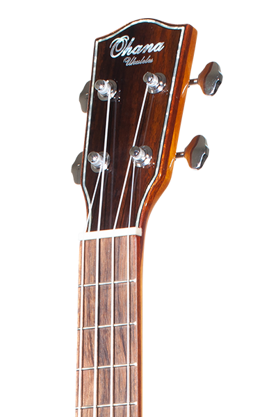 All Solid 50G Series Tenor TK-50G