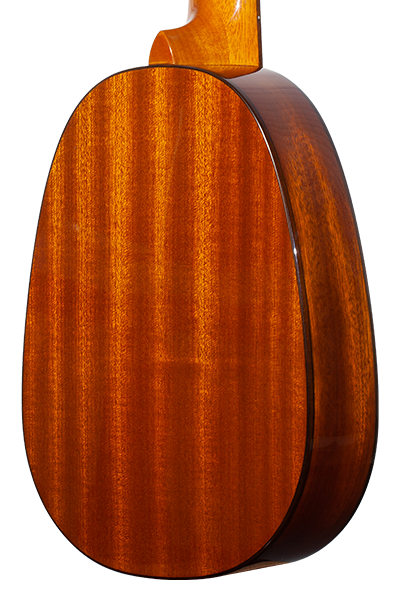 Pineapples 70G Series