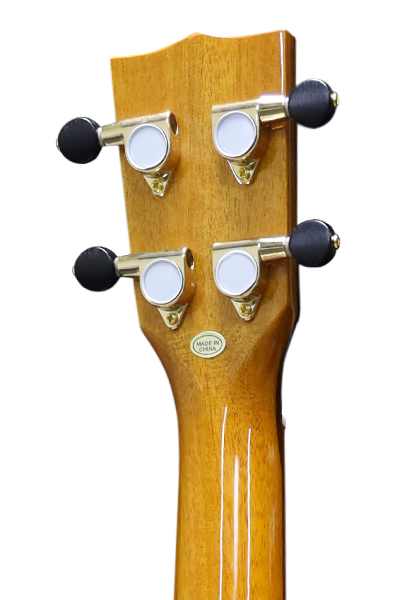 Limited Edition 78CG Series