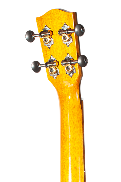 All Solid CK-60CG Solid Mahogany Concert with Cutaway