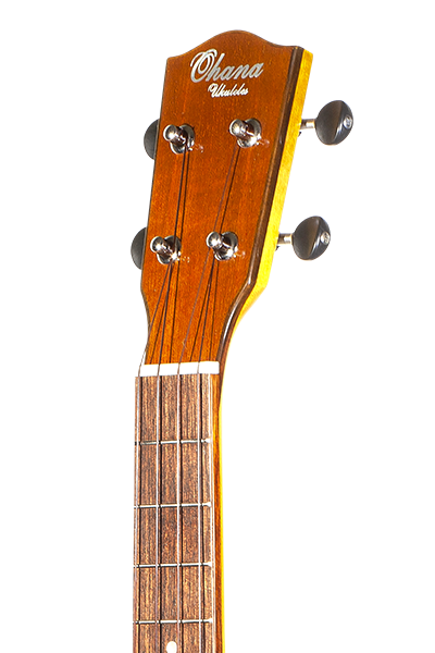 All Solid CK-60CG Solid Mahogany Concert with Cutaway