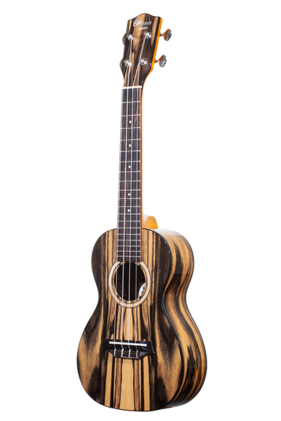 Laminate CK-150BWE Black and White Ebony Concert