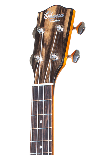 Laminate CK-150BWE Black and White Ebony Concert