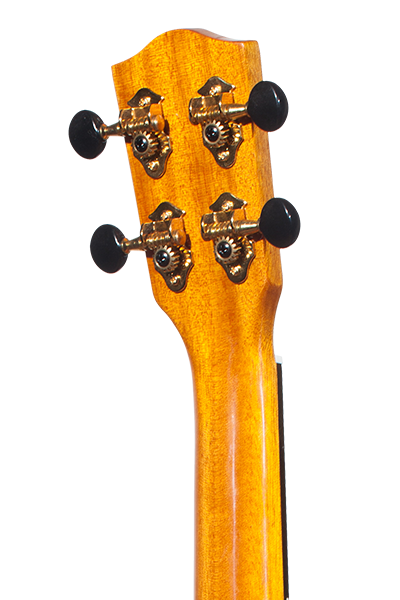 Laminate Series CK-150QEL