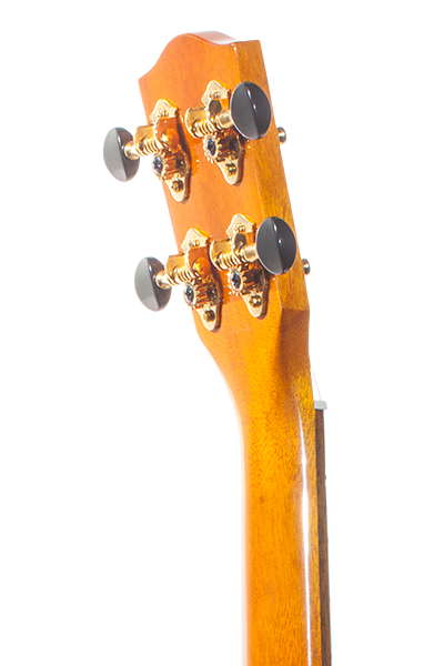 Laminate Series CK-150SMP Spalted Maple Concert Ukulele