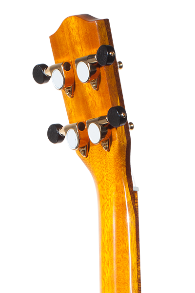 Limited Edition 370G Series
