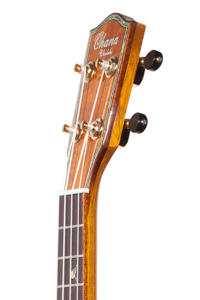 Limited Edition 370G Series