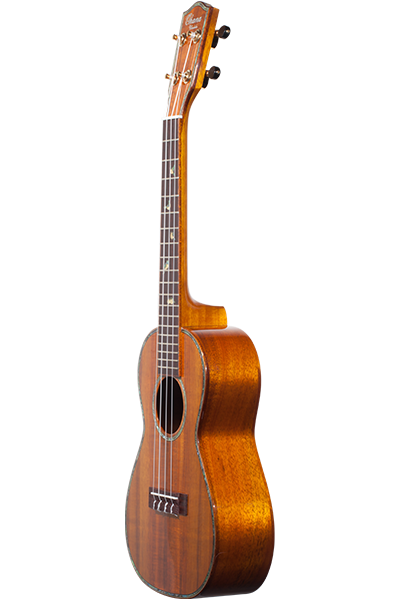 Limited Edition 370G Series