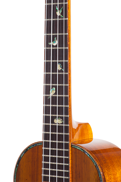 Limited Edition 370G Series - Ohana Music