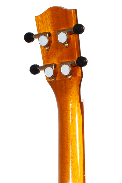 Limited Edition 370G Series