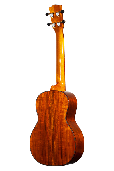 Limited Edition 370G Series