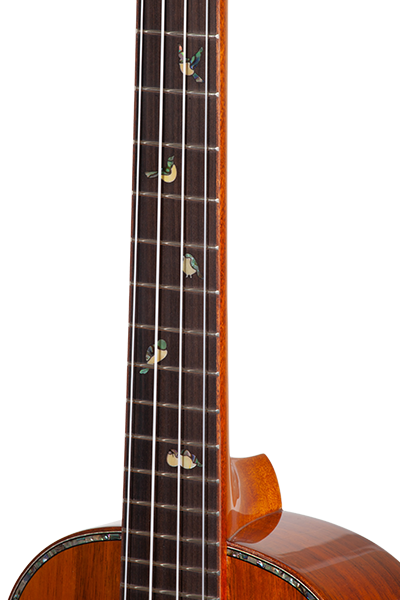 Limited Edition 370G Series