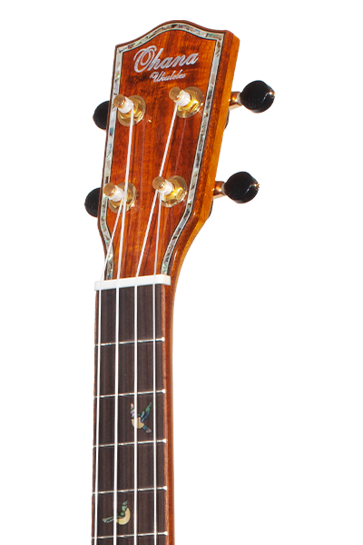 Limited Edition 370G Series