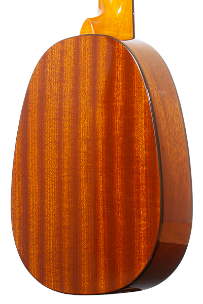 Pineapples Series PKC-50G Pineapple Shaped Solid Cedar & Solid Mahogany Concert
