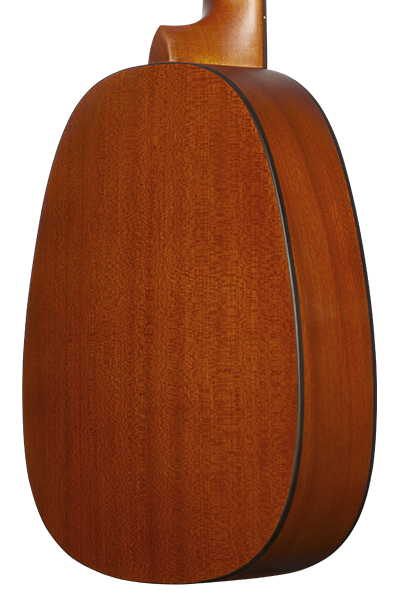 PINEAPPLES SERIES PKT-14