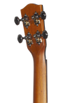 PINEAPPLES SERIES PKT-14