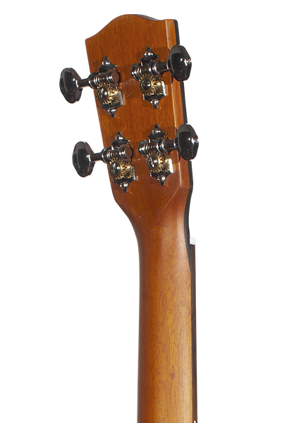 PINEAPPLES SERIES PKT-14