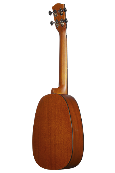 PINEAPPLES SERIES PKT-14