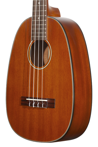 PINEAPPLES SERIES PKT-14