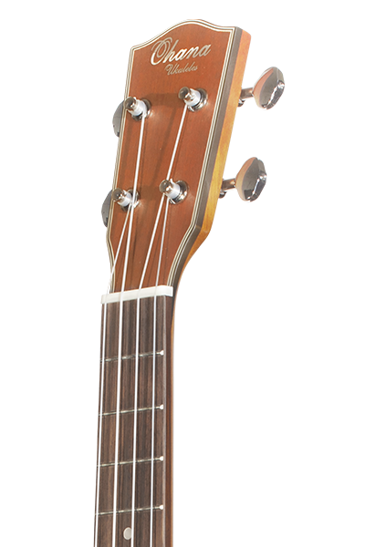 PINEAPPLES SERIES PKT-14