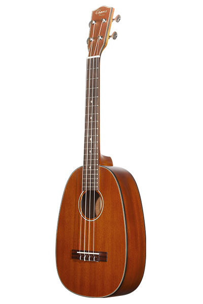 PINEAPPLES SERIES PKT-14