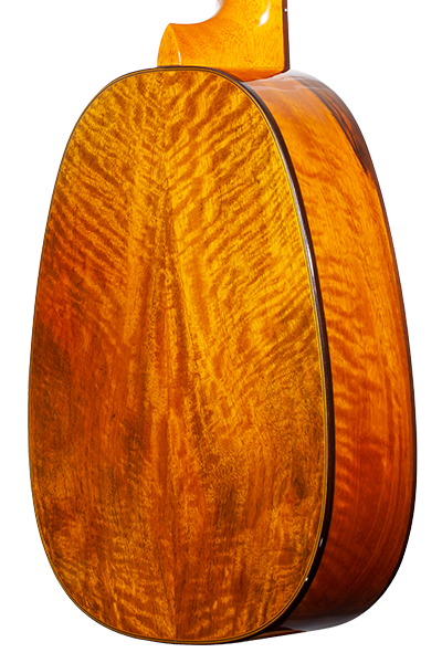 Pineapples 220G Series Tenor PKT-220G