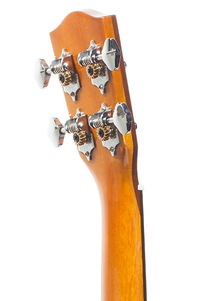 Pineapples 70G Series