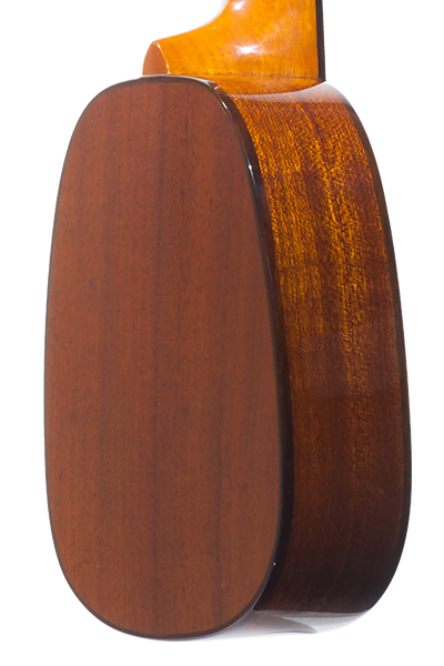 Pineapples 70G Series