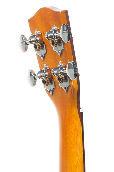 Pineapples 70G Series