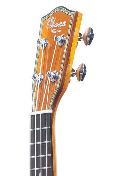 Pineapples 70G Series