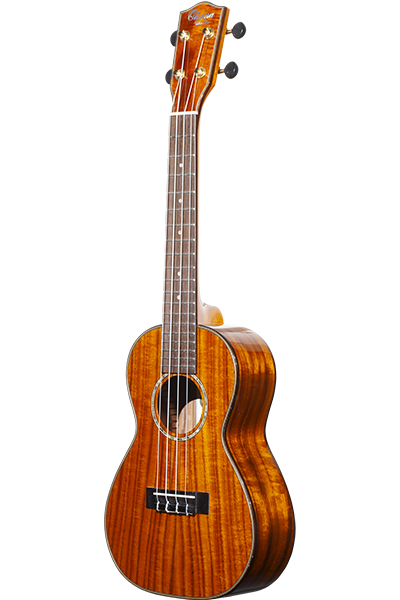 Limited Edition 270G Series Tenor TK-270G