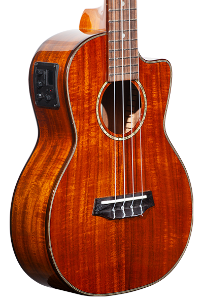Limited Edition 270G Series