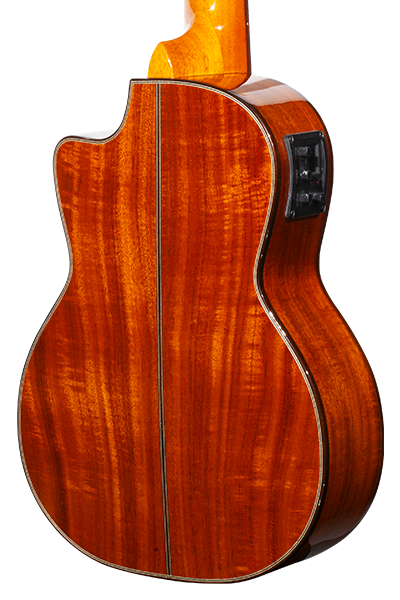 Limited Edition 270G Series