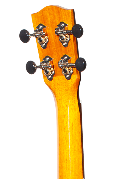Limited Edition 270G Series