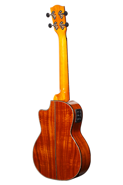 Limited Edition 270G Series