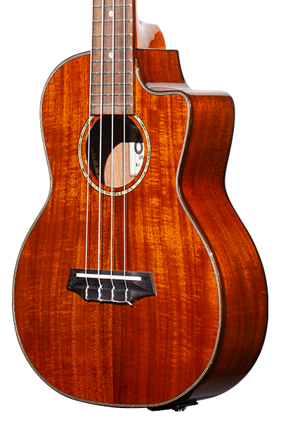 Limited Edition 270G Series