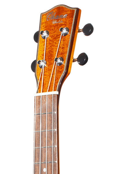 Limited Edition 270G Series
