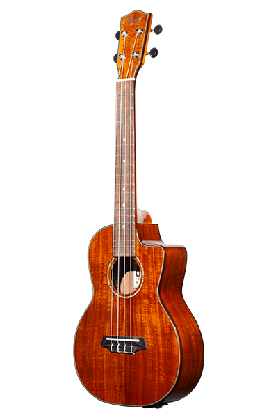 Limited Edition 270G Series