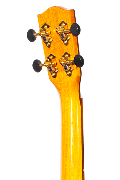 Limited Edition 270G Series