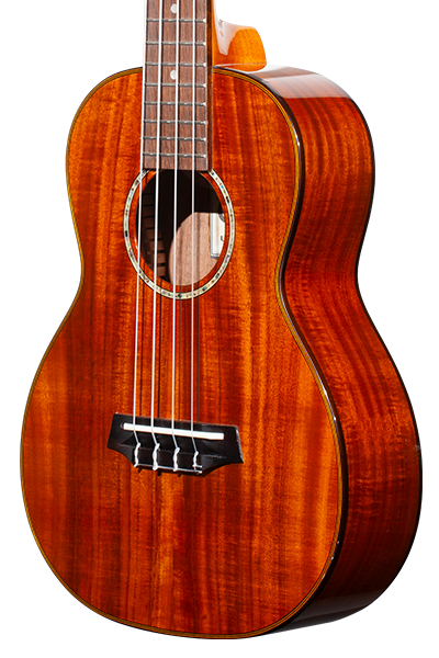 Limited Edition 270G Series