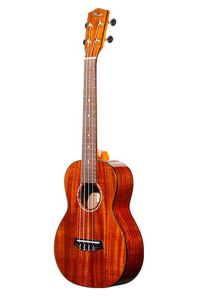 Limited Edition 270G Series