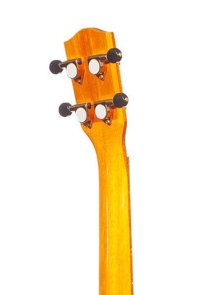 Limited Edition All-Solid Select Koa 570G Series