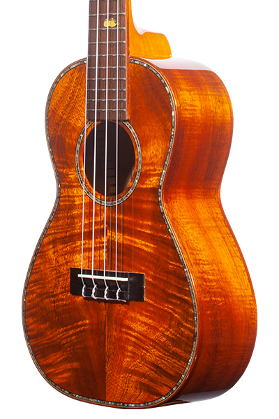 Limited Edition All-Solid Select Koa 570G Series