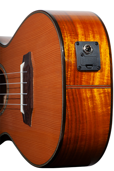 Limited Edition 260G Series Concert CK-260GCE